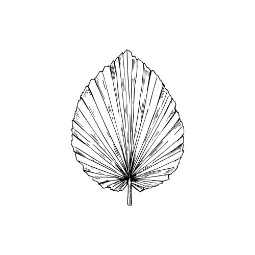 Logo Biodinamica craniosacrale